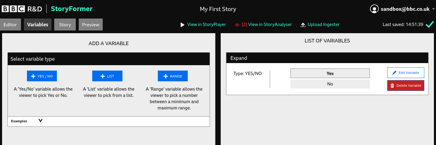 The Variables Tab, showing a Story with a single YES/NO Variable, “Expand”